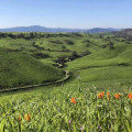 Exploring the Amenities at Cycling Events in Westlake Village, CA