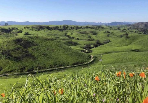 Exploring the Thrilling World of Cycling Events in Westlake Village, CA